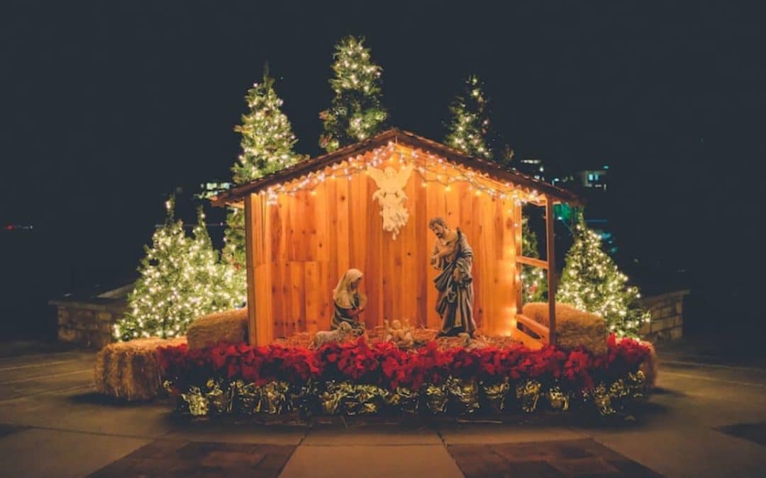 Day 20: Merry Christmas! Remember the Reason for the Season: The Birth of Jesus