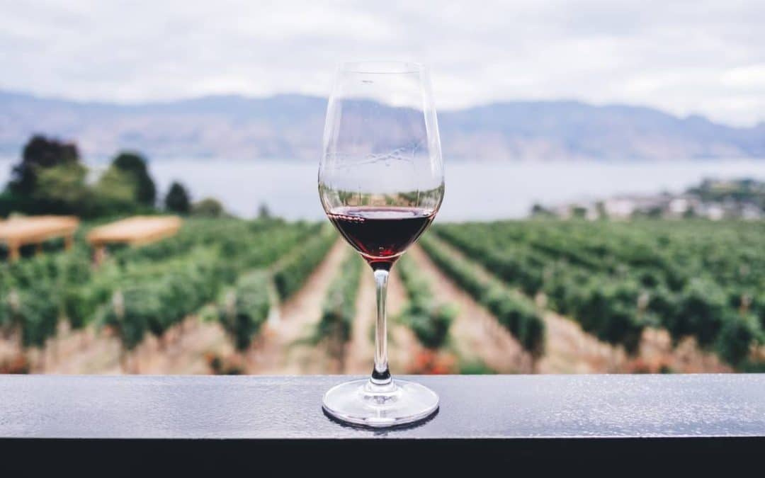 Top 6 Things NOT to do at the Vineyard ~ Respect is King