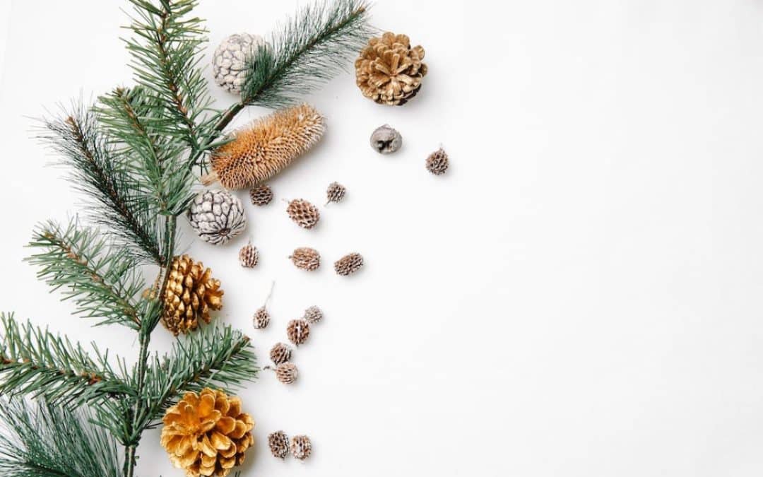 Day 10: Diversity in Holiday Celebrations